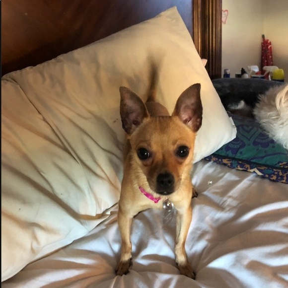 Meet your Posher, Kim - Picture 3 of 3